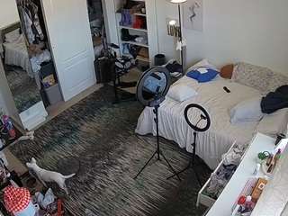 voyeurcam-hornyhostel-02 webcam model stream image