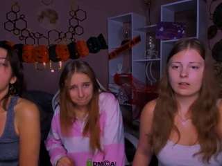 kleri-paint webcam model stream image