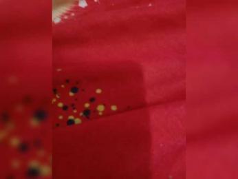 Sara-301 webcam model stream image