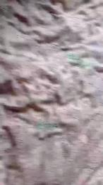 devoterboy4 webcam model stream image