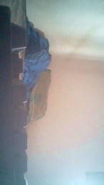 NovinhoDot369 webcam model stream image