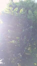 Salxxx webcam model stream image