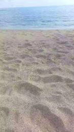 Salxxx webcam model stream image