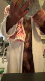 Grandbiquet198 webcam cam4 model stream image