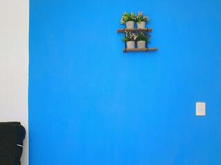 Christopher Wells webcam model stream image