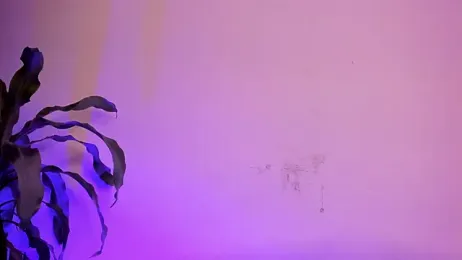 Michell_Whitets webcam model stream image