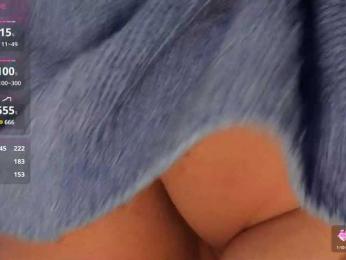 MEOW_Li webcam model stream image