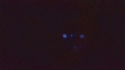 heyhey250 webcam model stream image