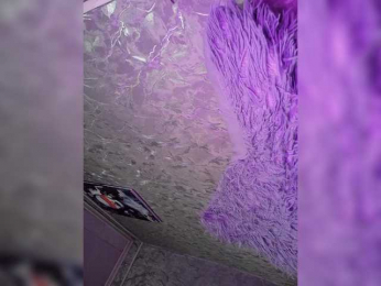 Nata17-1 webcam model stream image