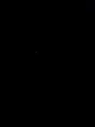 Xpj123 webcam model stream image