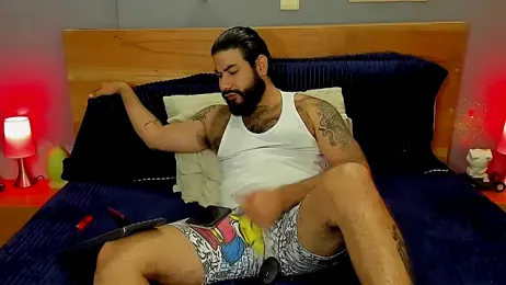 Prometeo-grizzly webcam model stream image