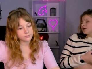 niri-vex webcam model stream image