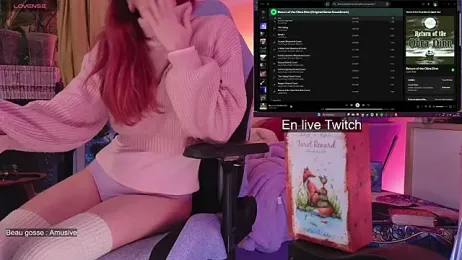 Indriya2x0 webcam model stream image