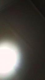 Nenefranhot33 webcam model stream image