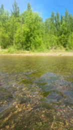 Laoquedad webcam model stream image