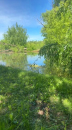 Laoquedad webcam model stream image