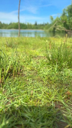 Laoquedad webcam model stream image