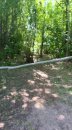 Laoquedad webcam model stream image