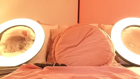 KirstenDanston webcam model stream image