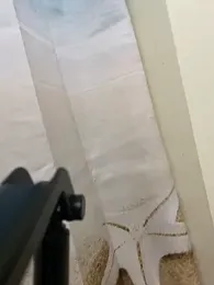 MadisonCD2025 webcam model stream image