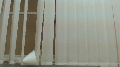 BonnieFox_ webcam cam4 model stream image