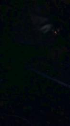 Joueurh webcam model stream image