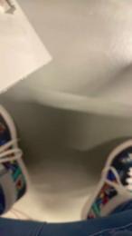 sam_cam_fun webcam model stream image