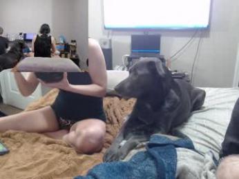 crownandkat webcam chaturbate model stream image