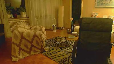 tscaprice webcam model stream image