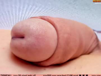 kpetra webcam model stream image
