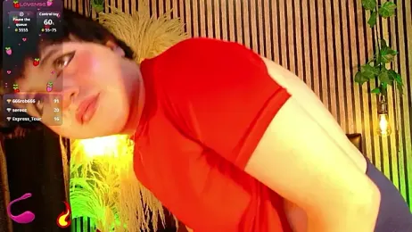 Hiddenhotcake webcam model stream image