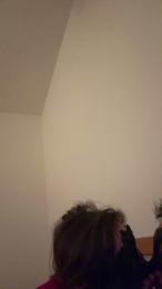 palindromo3 webcam cam4 model stream image