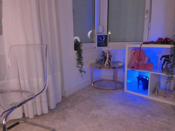 seilyfox webcam model stream image