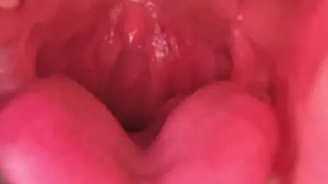 LT-333 webcam model stream image