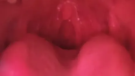 LT-333 webcam model stream image