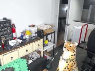 amandahugnkiss webcam model stream image