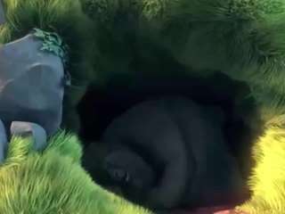 amandahugnkiss webcam model stream image