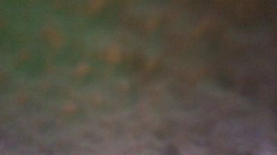 bossman260 webcam model stream image