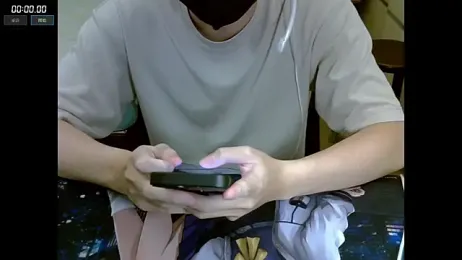 Sliver-tian webcam model stream image