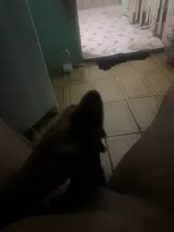 punhetaba webcam model stream image