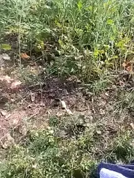 miss_riya23 webcam model stream image