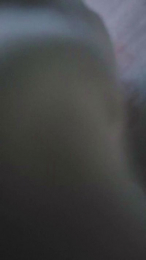 Nazsexy webcam model stream image