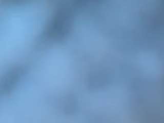 nahhcomply webcam model stream image