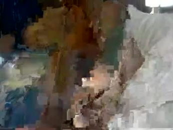 tsfoxx webcam model stream image