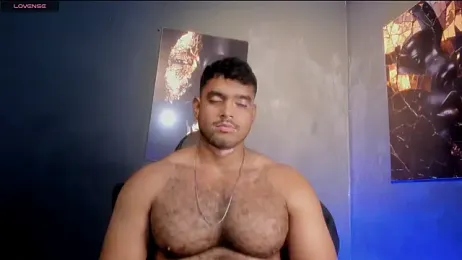 Big_furry_bear13 webcam model stream image
