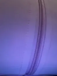 TattooGirlAlia webcam model stream image