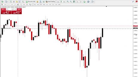 Trading_business webcam model stream image