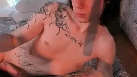 softcollision webcam model stream image