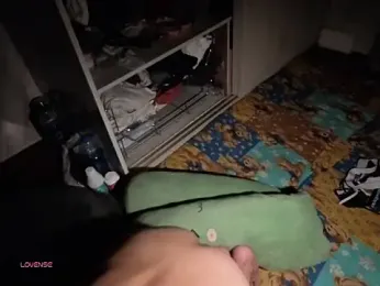 bbhiShark webcam model stream image