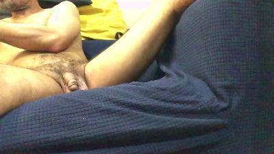 Dankerorsos webcam model stream image